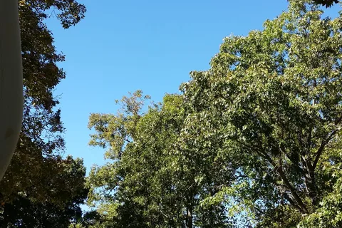 Rogers-Pea Ridge Garden RV and Campground