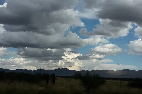 Willcox Playa State Wildlife Area