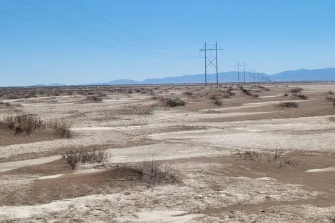 Willcox Playa State Wildlife Area