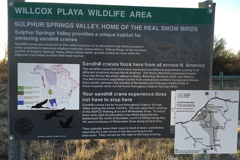 Willcox Playa State Wildlife Area