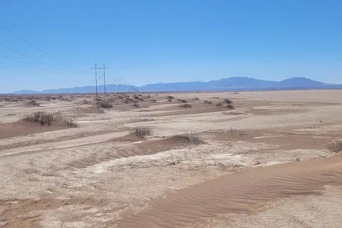 Willcox Playa State Wildlife Area
