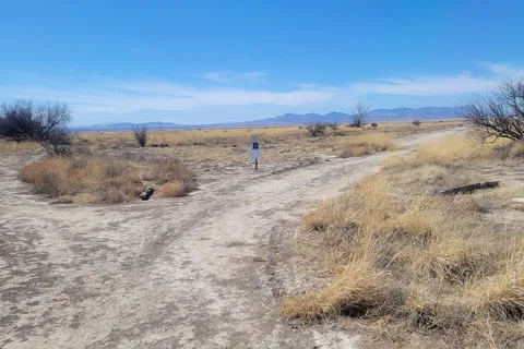 Willcox Playa State Wildlife Area