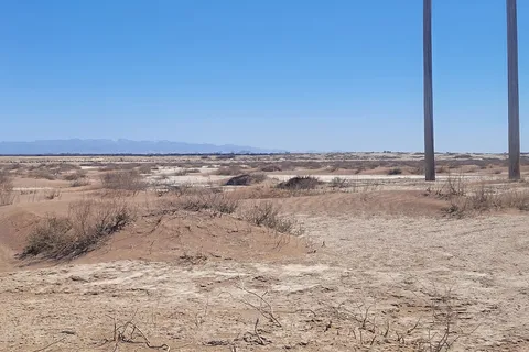 Willcox Playa State Wildlife Area