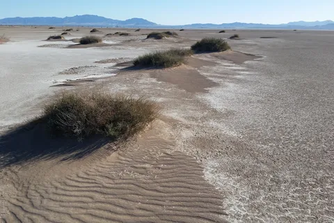 Willcox Playa State Wildlife Area