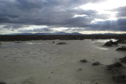 Willcox Playa State Wildlife Area