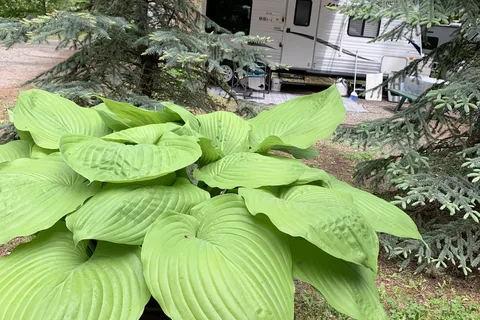 Pinegrove Campground and RV Park