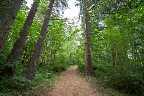 Camp Lakeview