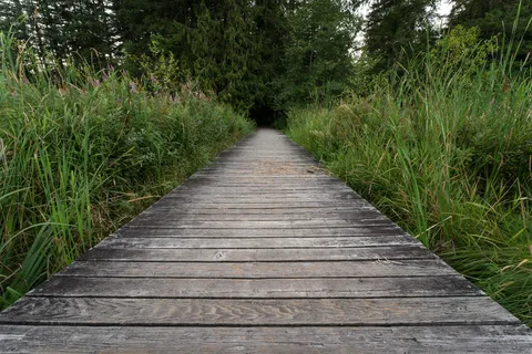 Camp Lakeview