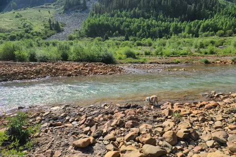 Silver Summit RV Park And Jeep Rentals