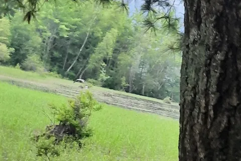 The Birches Campground