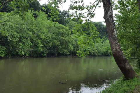 The Blue Canoe RV Resort