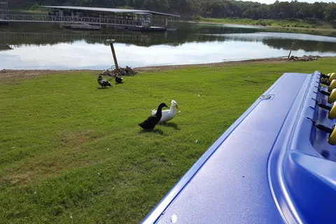 Newberry Creek Resort and Marina