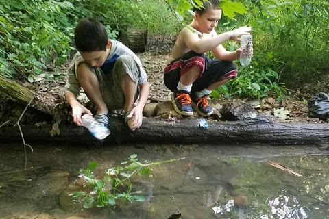 Ross Hollow - Tar Hollow State Park