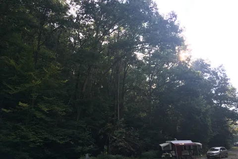 Ross Hollow - Tar Hollow State Park