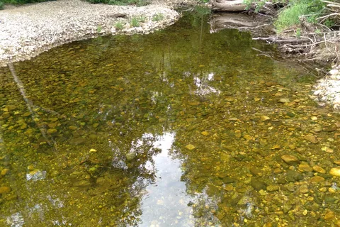 Grafton Notch Campground