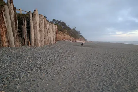Kalaloch Campground - Olympic National Park