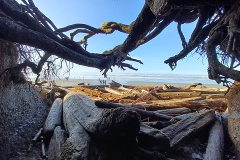 Kalaloch Campground - Olympic National Park