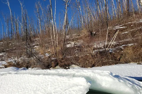 Gregoire Lake Provincial Park
