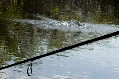Twin Lakes Camp Resort