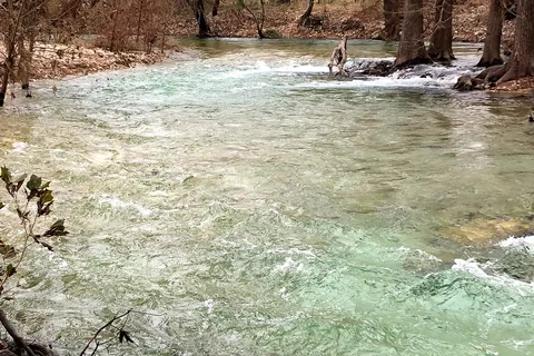 Camp Riverview