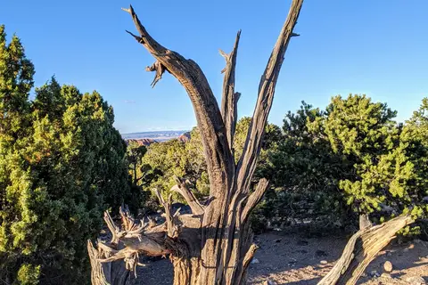 Cathedral Valley Campground - Capitol Reef National Park
