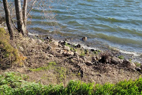 Campground 2 - Oakwood Lakes State Park