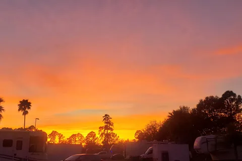 Daytona RV Park And Tropical Gardens
