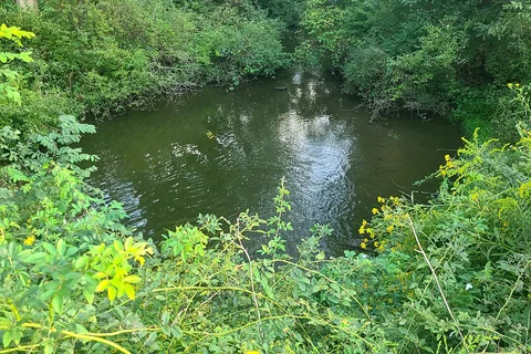 Chestnut Ridge Park and Campground