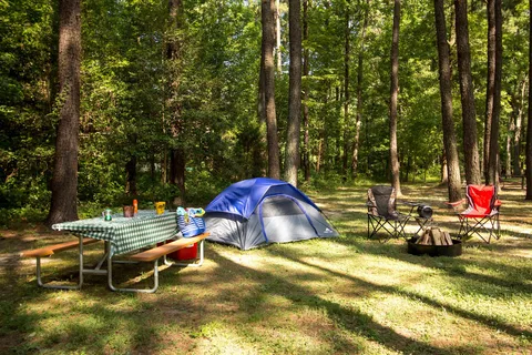 Richmond North / Kings Dominion KOA Holiday