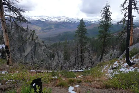 Cougar Rock Campground - Mount Rainier National Park