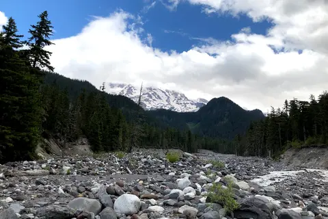 Cougar Rock Campground - Mount Rainier National Park