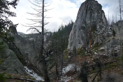 Cougar Rock Campground - Mount Rainier National Park