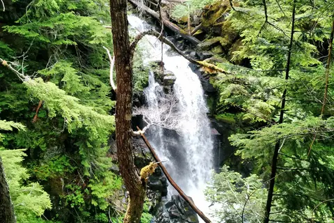Cougar Rock Campground - Mount Rainier National Park