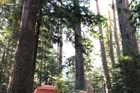 Cougar Rock Campground - Mount Rainier National Park
