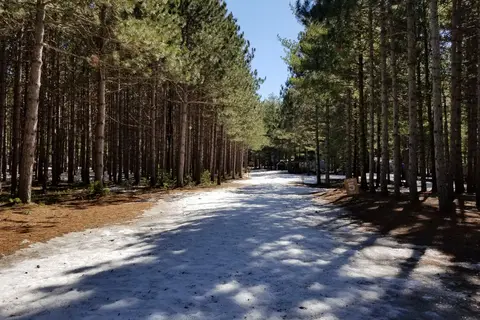 Pine Ridge Park Campsite