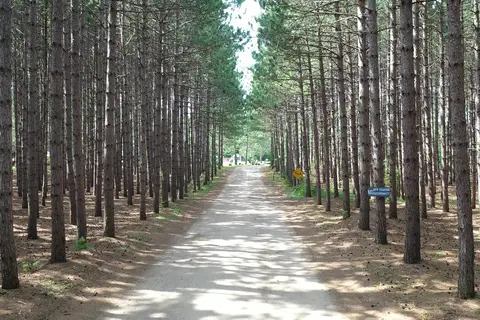 Pine Ridge Park Campsite