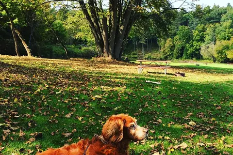 Pine Ridge Park Campsite