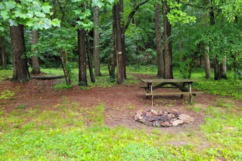 Rappahannock River Campground