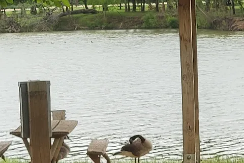 Loyd Park-Joe Pool Lake