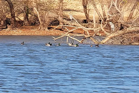 Loyd Park-Joe Pool Lake