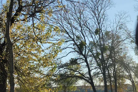 Loyd Park-Joe Pool Lake