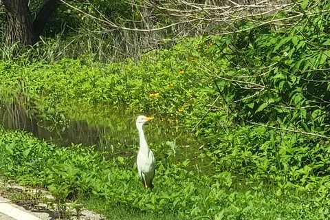 Loyd Park-Joe Pool Lake
