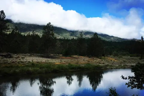 Laughing Alpaca Campground RV Park