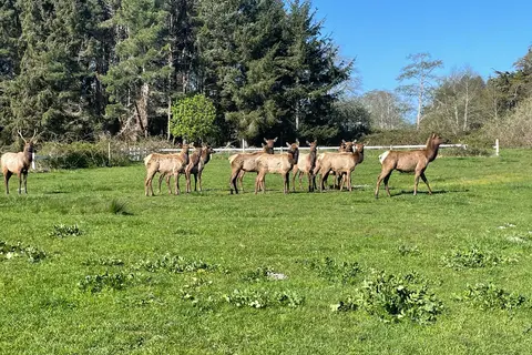 Elk Country RV Resort and Campground