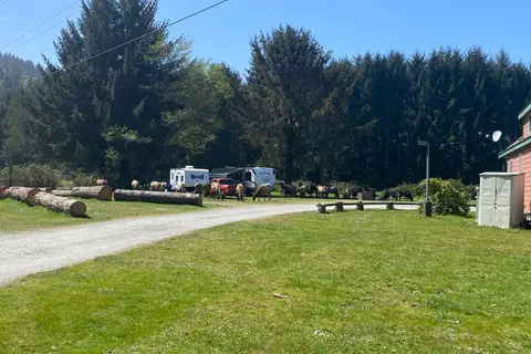 Elk Country RV Resort and Campground