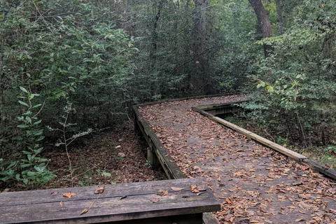 Upland - Bogue Chitto State Park