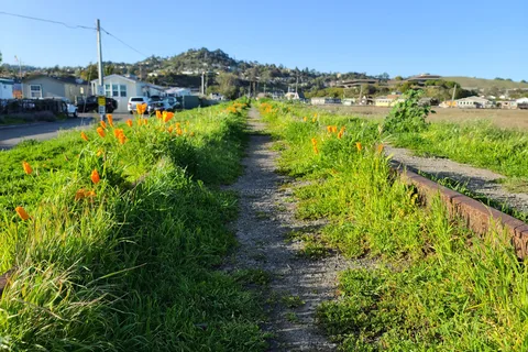 Marin RV Park