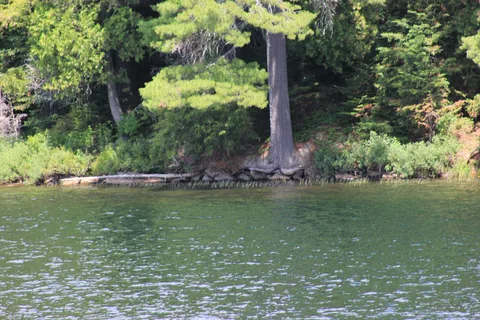 Rock Lake - Algonquin Provincial Park