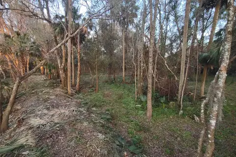 Citra Royal Palm RV Park