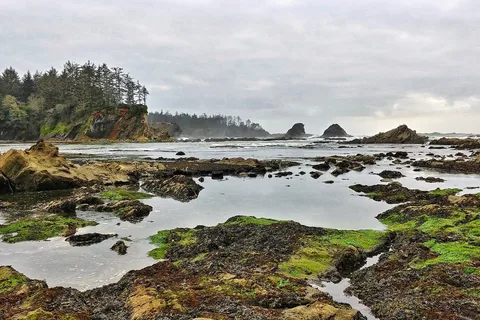 Sunset Bay State Park